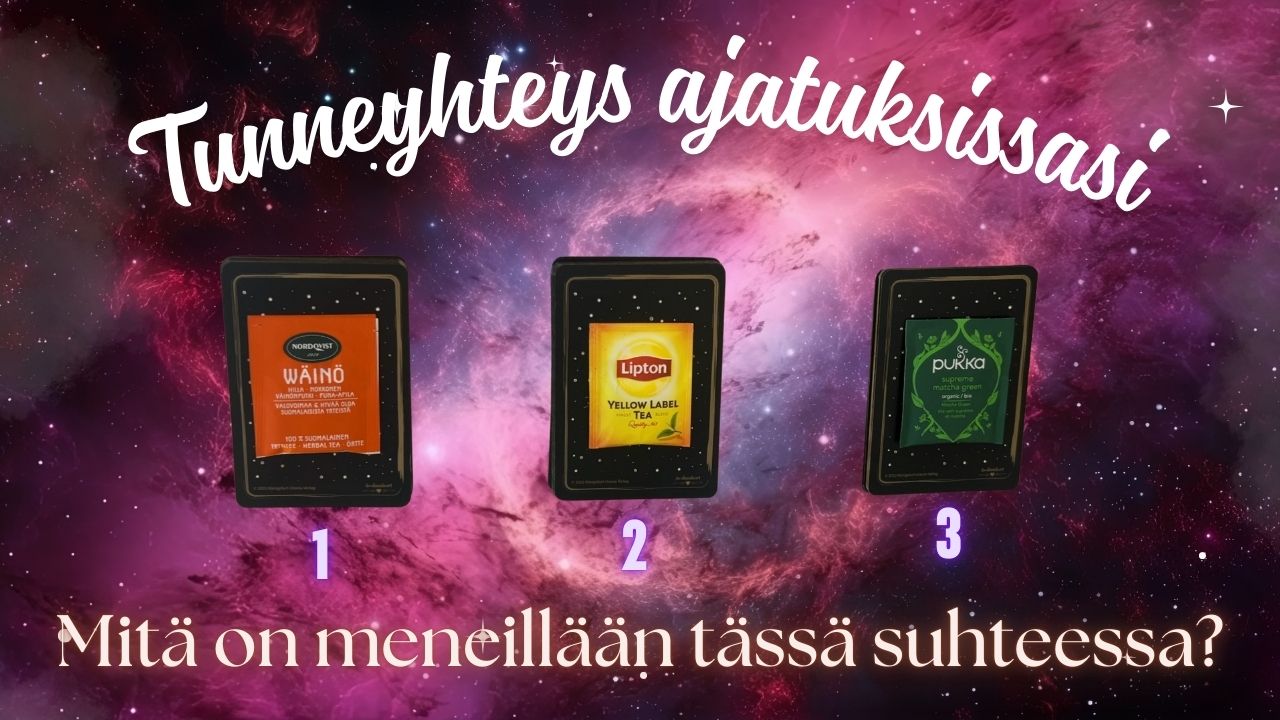 Tunneyhteys ajatuksissasi - mitä on meneillään? Jatkoluenta 2 (Lipton)